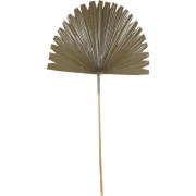 Wide Fan Palm Leaf - Brown